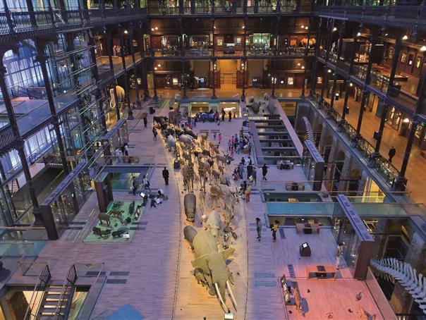 Muséum d'Histoire Naturelle près de l'Hôtel AGENOR, hôtel 3 étoiles quartier Montparnasse, chambres d'hôtel à Paris dans le 14ème arrondissement