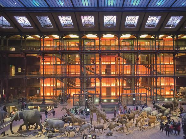 Muséum d'Histoire Naturelle près de l'Hôtel AGENOR, hôtel 3 étoiles quartier Montparnasse, chambres d'hôtel à Paris dans le 14ème arrondissement